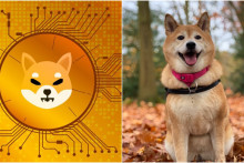 Ďalšia psia kryptomena láme rekordy. Shiba Inu sa dostala medzi TOP najsilnejších konkurentov (ilu)