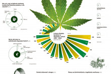 infografika - drogy