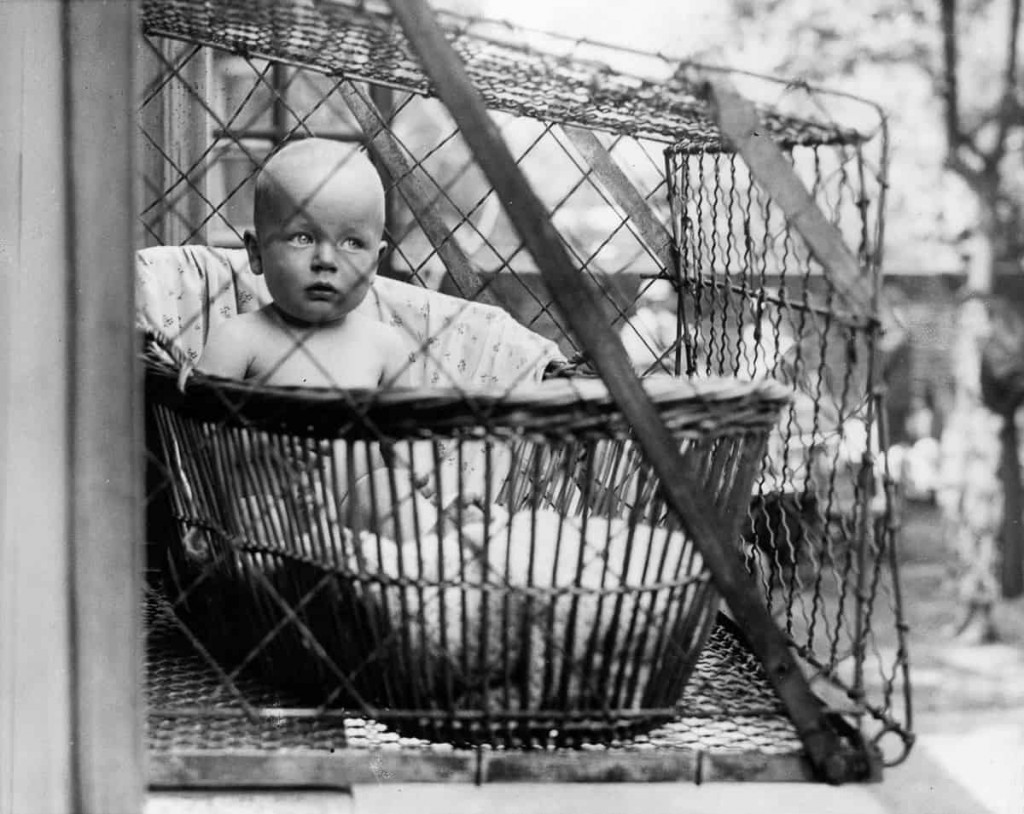 Svoje bábätko tak do vzduchu a vtáčej klietky umiestnila aj Eleanor Rooseveltová.