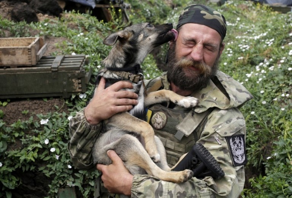 Vojak a pes