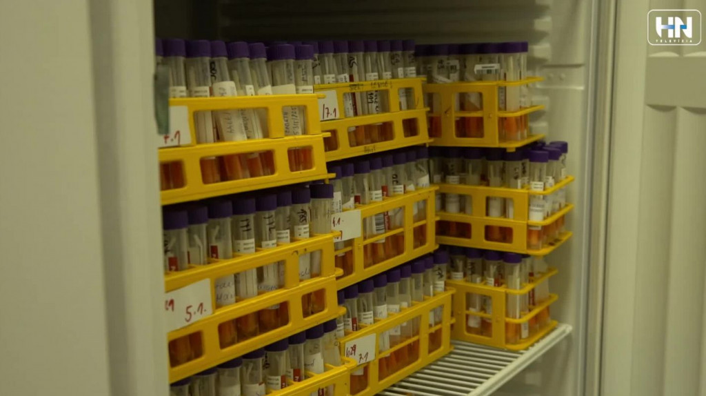 c074a0e6-405b-4415-8c76-ab2920bf1432