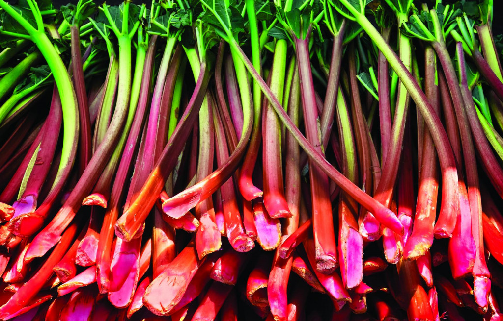 Rebarbora patrí k zeleninovým druhom, avšak svojou kuchynskou úpravou sa podobá skôr ovociu.