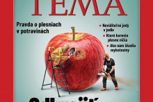 T&eacute;ma 36