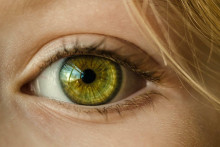 Toxoplazmóza očí spôsobená parazitom môže viesť až k strate zraku