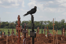 Vták sediaci na kríži medzi čerstvými hrobmi na cintoríne počas ruskej invázie na Ukrajinu v osade Staryi Krym v Mariupole. 15. mája 2022. FOTO: REUTERS/Alexander Ermochenko