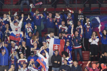 Sovenskí fanúšikovia sa tešia po strelení gólu v úvodnom zápase Francúzsko - Slovensko. FOTO:TASR/Martin Baumann