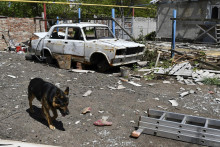 Pes kráča okolo zničeného auta v meste Toreck v Doneckej oblasti na Ukrajine. FOTO: TASR/AP
