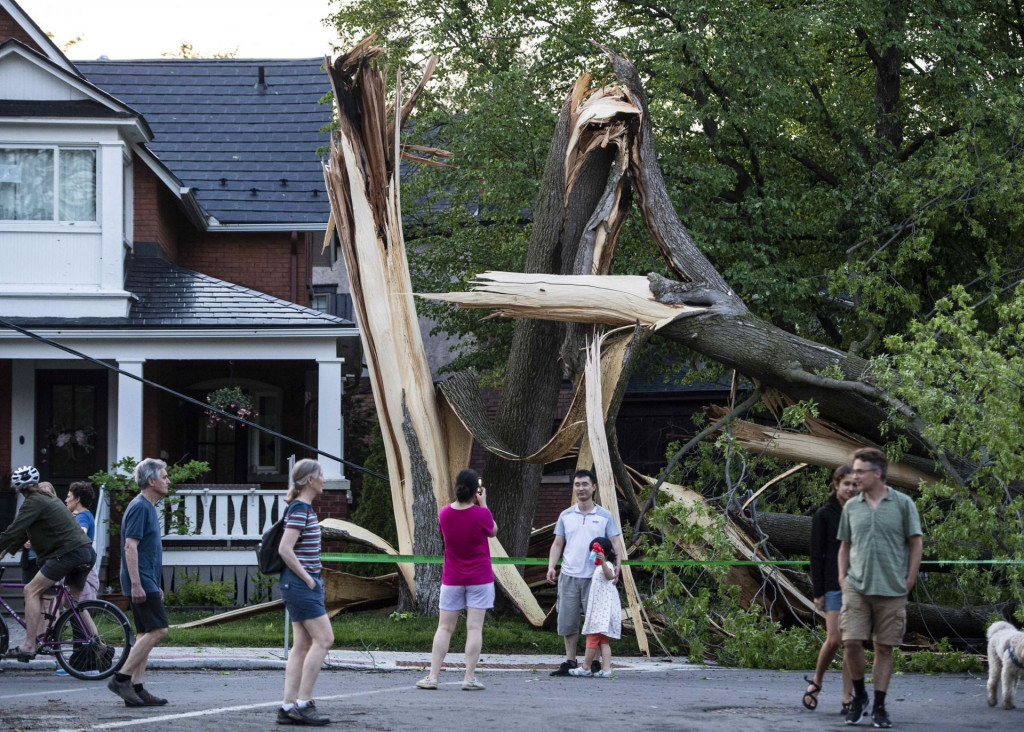 Obyvatelia Ottawy sledujú strom zničený počas búrky v Ottawe v sobotu 21. mája 2022. FOTO: TASR/AP