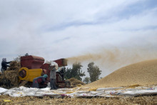 &lt;p&gt;Zber a spracovanie pšenice, ilustračný obrázok. FOTO: TASR/AP&lt;/p&gt;