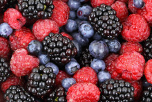 &lt;p&gt;Podľa údajov za rok 2019 patria medzi najzasiahnutejšie ovocie aj černice. &lt;/p&gt;