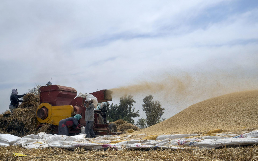 Zber a spracovanie pšenice, ilustračný obrázok. FOTO: TASR/AP