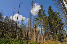 &lt;p&gt;Na snímke je zničený les.&lt;/p&gt;

&lt;p&gt;FOTO: TASR/Oliver Ondráš&lt;/p&gt;