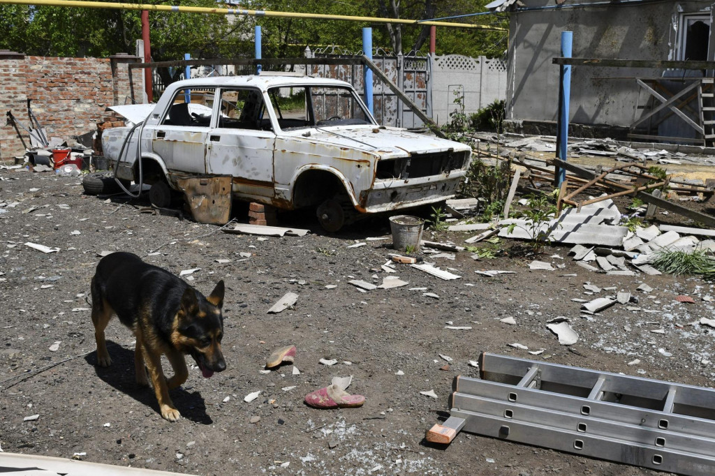 Na snímke pes kráča okolo zničeného auta v meste Toreck v Doneckej oblasti na Ukrajine. FOTO:TASR/AP
