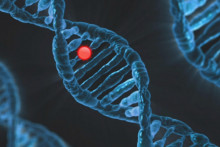 Príčiny rôznych zdravotných problémov môžu byť ukryté v DNA.