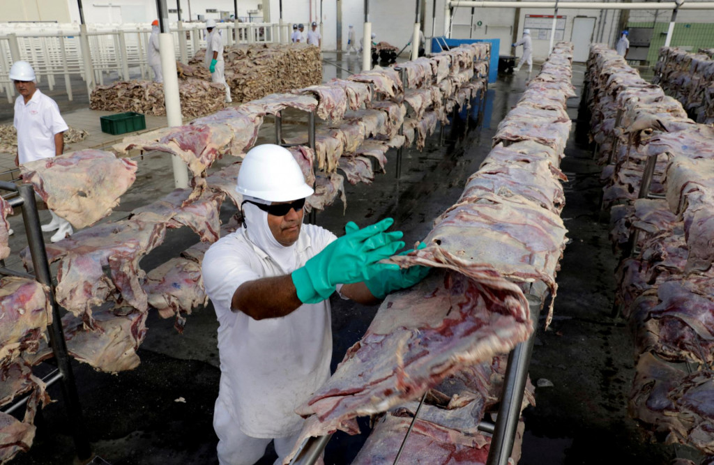 Pracovník natiera nasolené mäso, ktoré sa suší a potom balí vo veľkovýrobnom závode. FOTO: Reuters