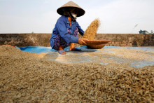 &lt;p&gt;Vietnamský farmár zbiera úrodu ryže. FOTO: Reuters &lt;/p&gt;