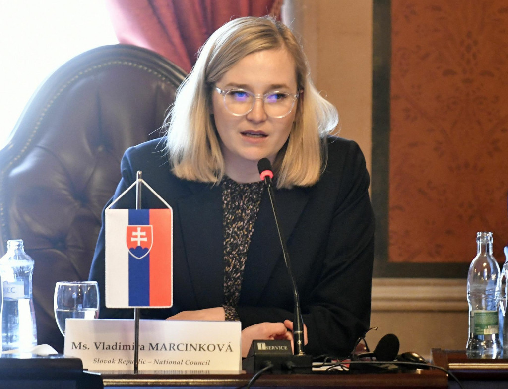 Na sn&iacute;mke predsedn&iacute;čka V&yacute;boru pre eur&oacute;pske z&aacute;ležitosti Vladim&iacute;ra Marcinkov&aacute;, 25. apr&iacute;la 2022. FOTO: TASR/Roman Hanc SN&Iacute;MKA: Roman Hanc