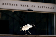 &lt;p&gt;V centrále austrálskej Reserve Bank of Australia bude v utorok rušno, banková rada zvýši úrokové sadzby u protinožcov. FOTO: Daniel Munoz&lt;/p&gt;