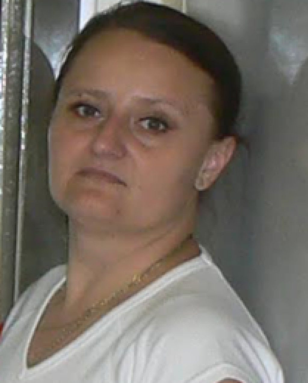 Svetlana Adamcová-Selčanová, HEGITO FDR Banská Bystrica