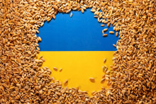 Ukrajina je považovaná za obilnicu sveta. FOTO: Reuters