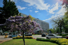 Univerzitná nemocnica Košice