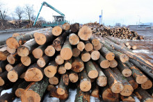 Ako vo všetkých sektoroch, aj v odvetví palivového dreva rastú ceny. FOTO: HN/Pavol Funtál