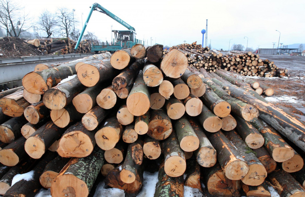 Ako vo v&scaron;etk&yacute;ch sektoroch, aj v odvetv&iacute; palivov&eacute;ho dreva rast&uacute; ceny. FOTO: HN/Pavol Funt&aacute;l