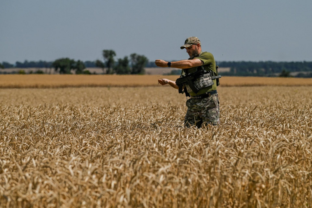 Ukrajinsk&yacute; vojak stoj&iacute; na p&scaron;eničnom poli v Dnepropetrovskej oblasti na Ukrajine. FOTO: Reuters