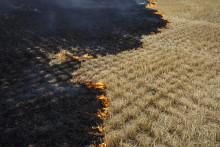 Obilné pole počas požiaru v meste Kurachovo v Doneckej oblasti na východe Ukrajiny. FOTO: TASR/AP