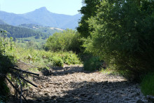 Sucho postihlo aj rieku Rajčanky. Na fotografii je možné vidieť jej vyschnuté koryto. FOTO: TASR/ Erika Ďurčová
