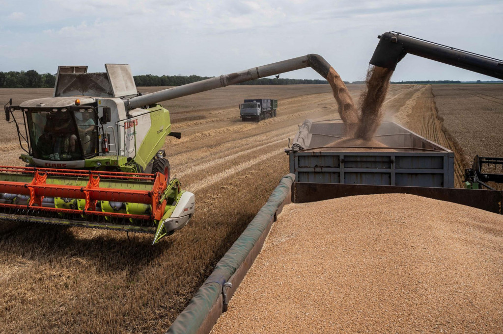 Kombajny nakladajú kamión pšenicou na poli pri obci Tomylivka. FOTO: Reuters
