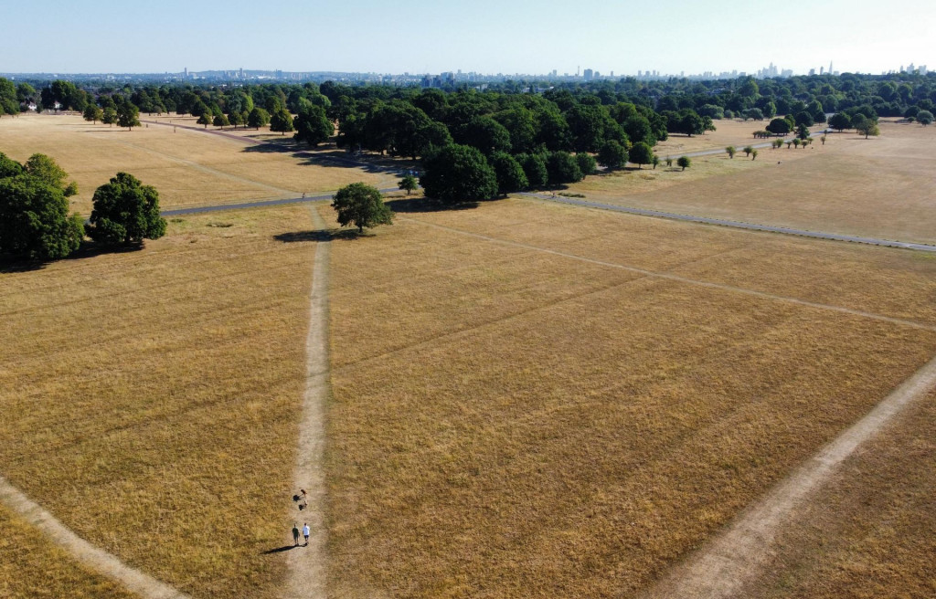 Zelené londýnske trávniky po vlne horúčav a sucha zožltli. FOTO: Reuters