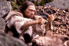 Rekonštrukcia podoby lovca druhu homo neanderthalensis v Neandertálskom múzeu v nemeckom Mettmanne.