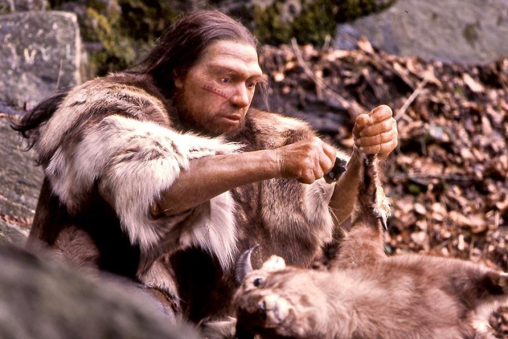 Rekonštrukcia podoby lovca druhu homo neanderthalensis v Neandertálskom múzeu v nemeckom Mettmanne.