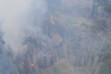 Požiar v Českom Švajčiarsku. FOTO: TASR/HaZZ