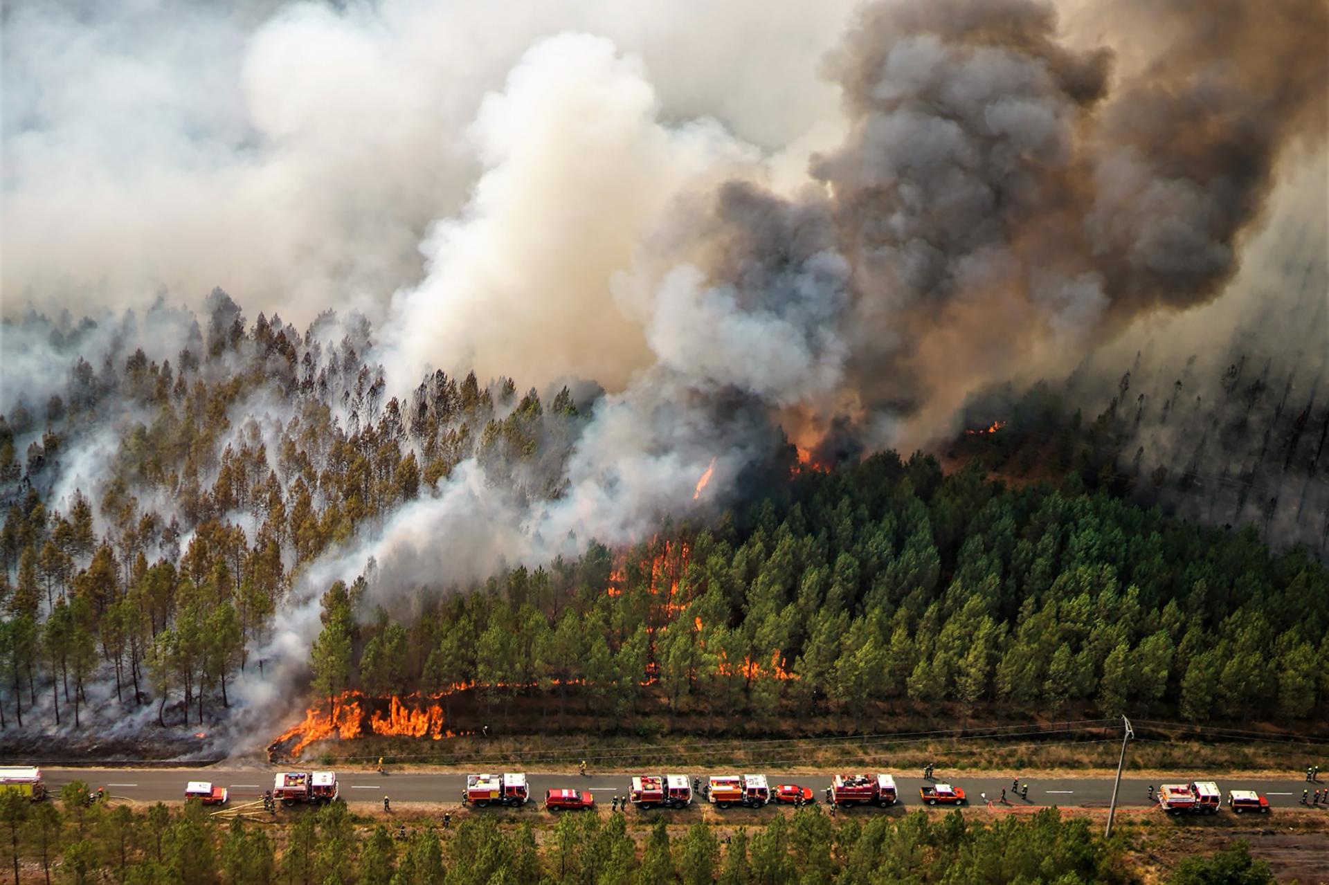Des pompiers de plusieurs pays de l’UE viennent en France pour lutter contre les incendies de forêt