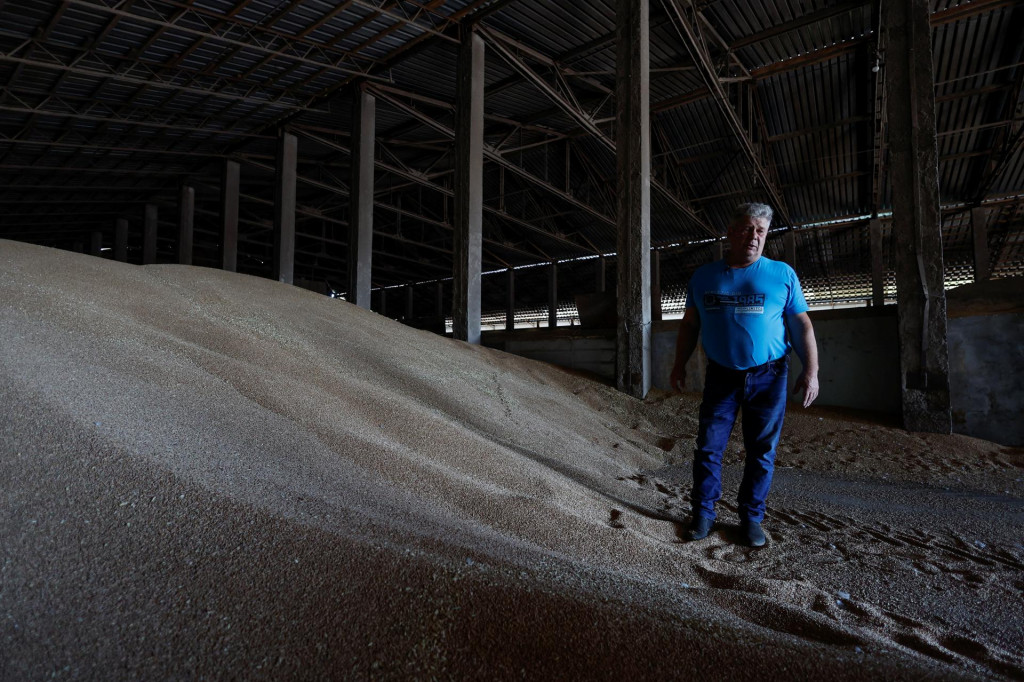 

Ukrajinský farmár Oleksandr Chubuk ukazuje pšeničné zrno v sklade. FOTO: Reuters