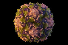 Na ilustrácii z roku 2014 je častica vírusu detskej obrny. Vírus detskej obrny, ktorý sa našiel v odpadovej vode v New Yorku, naznačuje, že toto ochorenie sa lokálne šíri medzi nezaočkovanými ľuďmi. FOTO: TASR/AP