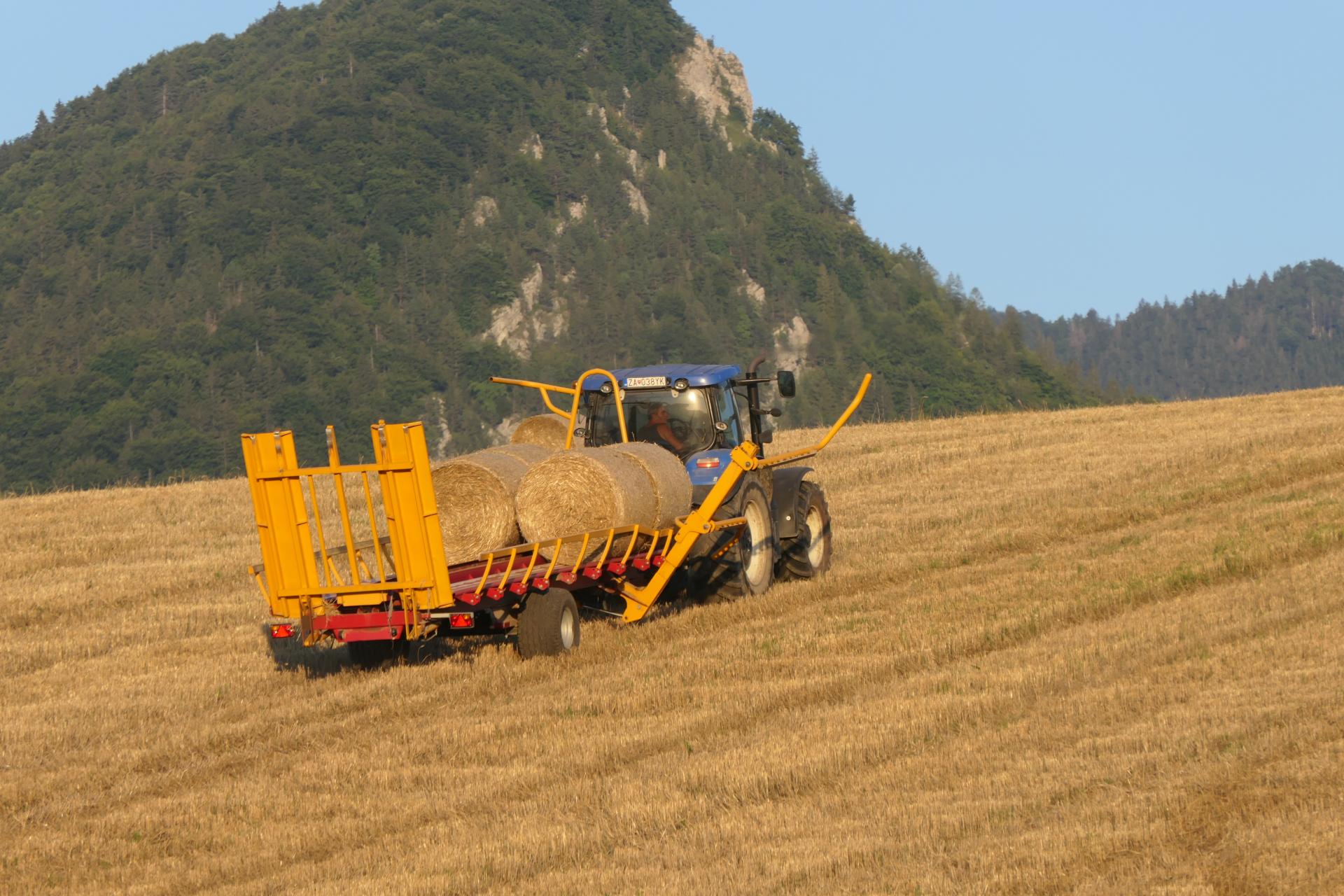 Žatva na Slovensku finišuje, poľnohospodári evidujú priepastné rozdiely