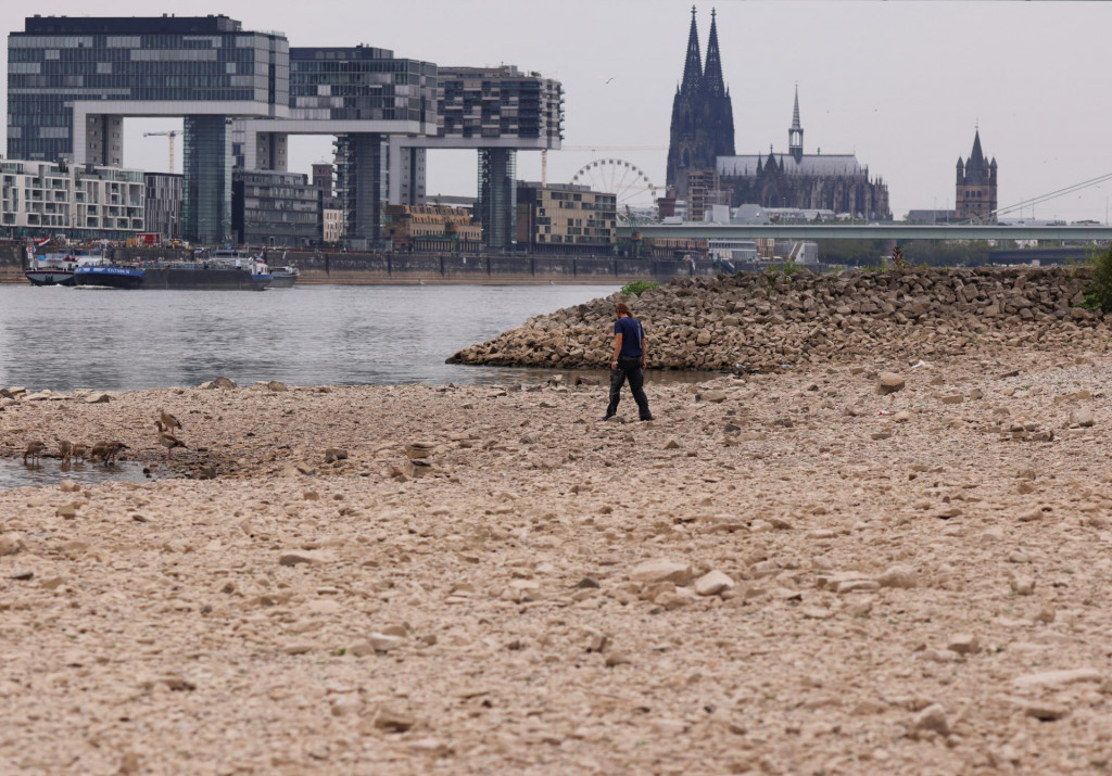Muž kráča po brehu rieky Rýn kvôli nízkej hladine vody v Kolíne nad Rýnom. FOTO: Reuters