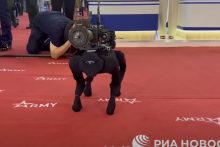 Na ruskom veľtrhu zbraní Armija-2022 sa v pondelok predstavil pozoruhodný stroj: robotický pes nesúci protitankovú strelu. Onedlho však vyšlo najavo, že takzvaný robotický komplet М-81 je v skutočnosti maskovaný výrobok z Číny. FOTO: Reprofoto, Youtube/Phung Nguyen