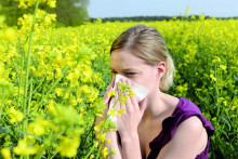 Viac ako polovica (55 percent) alergikov podľa VšZP trpí peľovou alergiou.