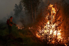 Horiaci lesný porast, ilustračný obrázok. FOTO: Reuters
