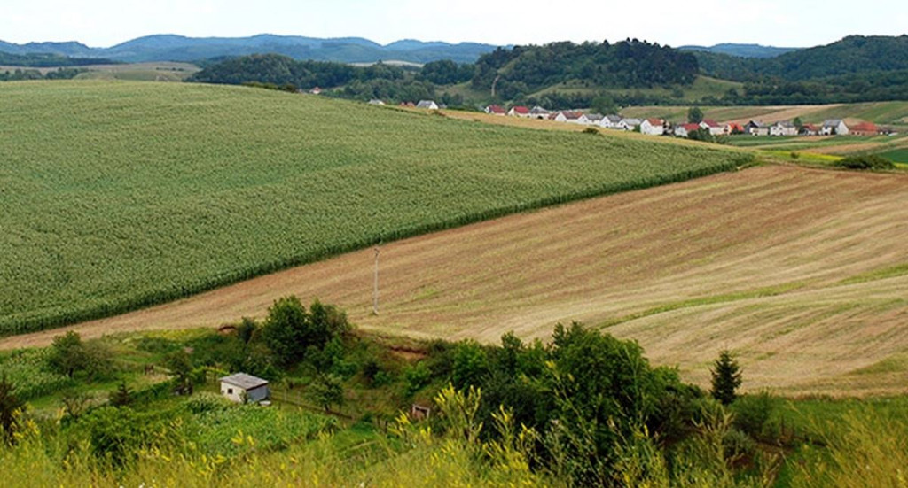 Cena poľnohospodárskych pozemkov na Slovensku nie je nijako obmedzená. FOTO: TASR