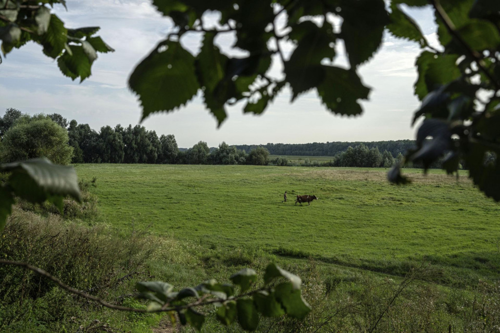 Ilustračn&aacute; fotografia. FOTO TASR/AP