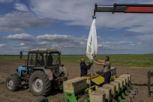 Na Slovensku poľnohospodári až v 90 percentách hospodária na prenajatej pôde. FOTO: TASR/AP
