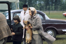 Kráľovná Alžbeta II. a jej pes