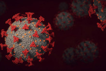 Ilustrácia koronavírusu.