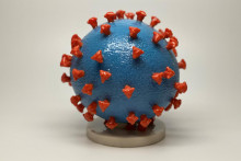Britskí vedci modifikovali vírus oparu tak, aby napádal rakovinové bunky.