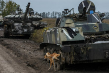 Pes a ruský tank. FOTO: Reuters